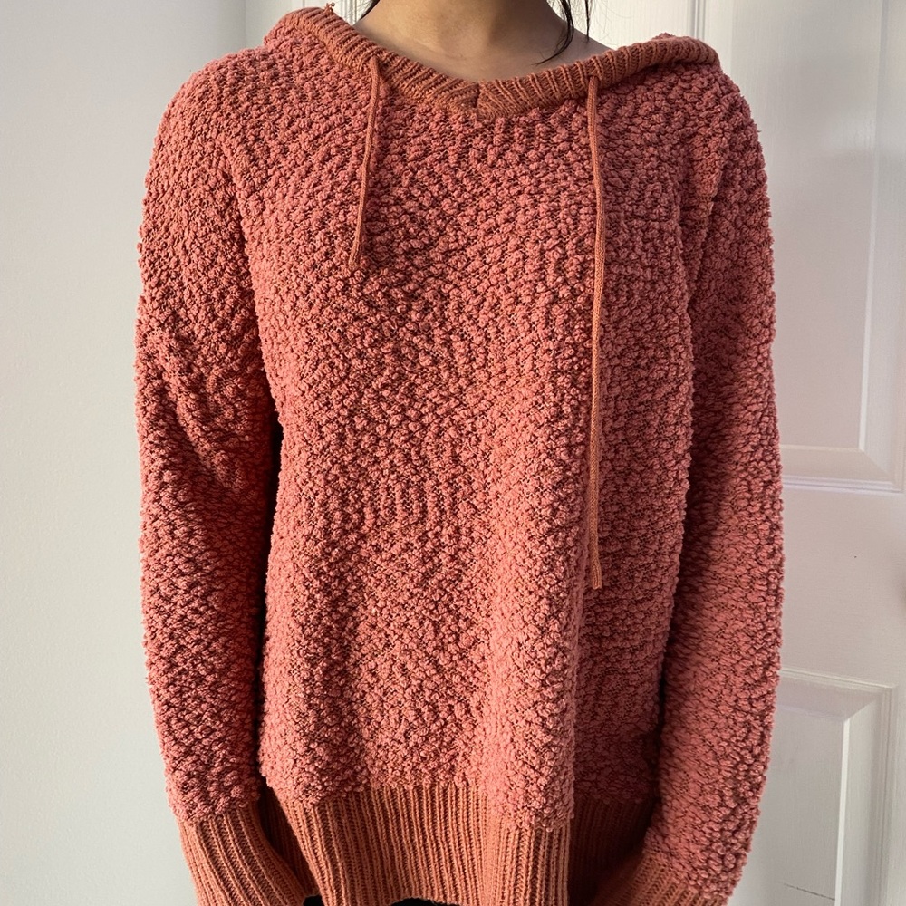 Pink teddy hoodie